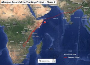 A satellite image showing the trajectory of one of the 3 tagged Amur falcons. (Photo: X/@supriyasahuias)