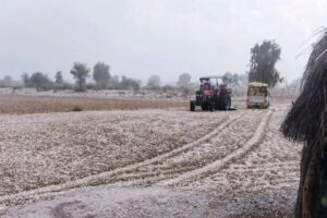 An agricultural land is seen covered in hailstones after a hailstorm Jaisalmer. (Photo: PTI)